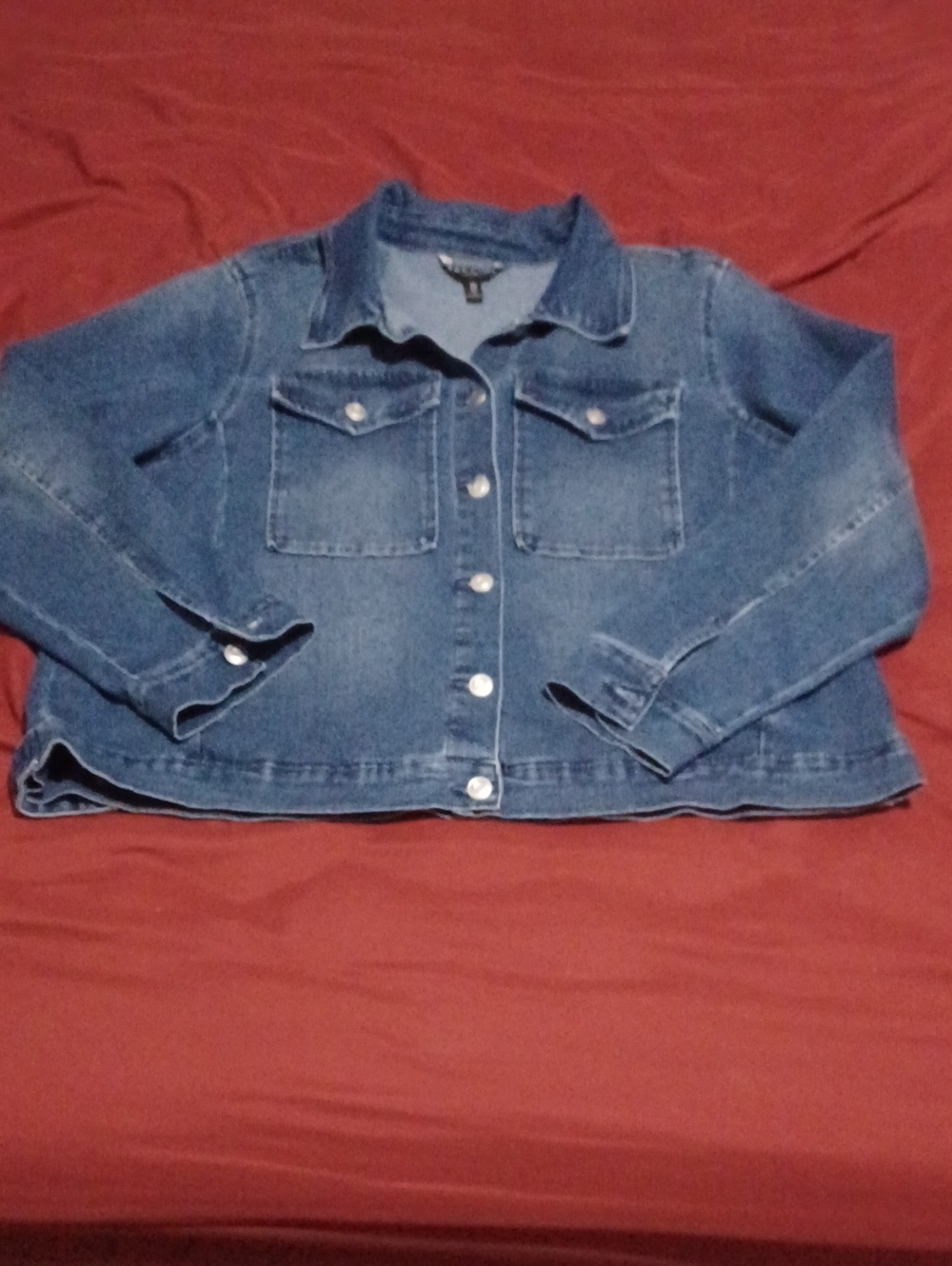 Baccini Plus Size Classic Blue Denim Jacket Size 2X